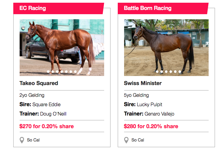 My Race Horse gallery image