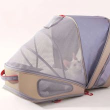 EverBliss Cat Store gallery image