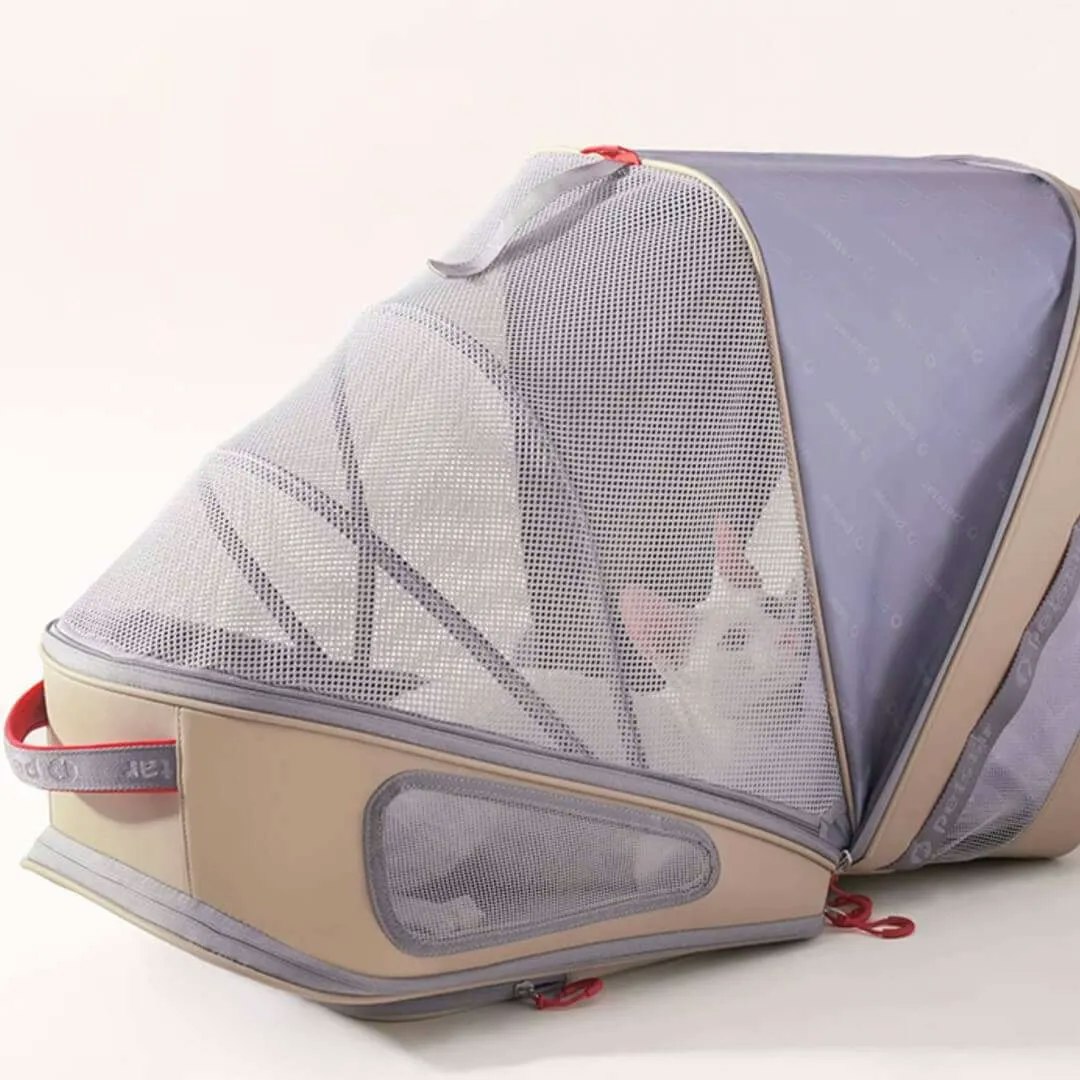 Everbliss Cat Store media 2