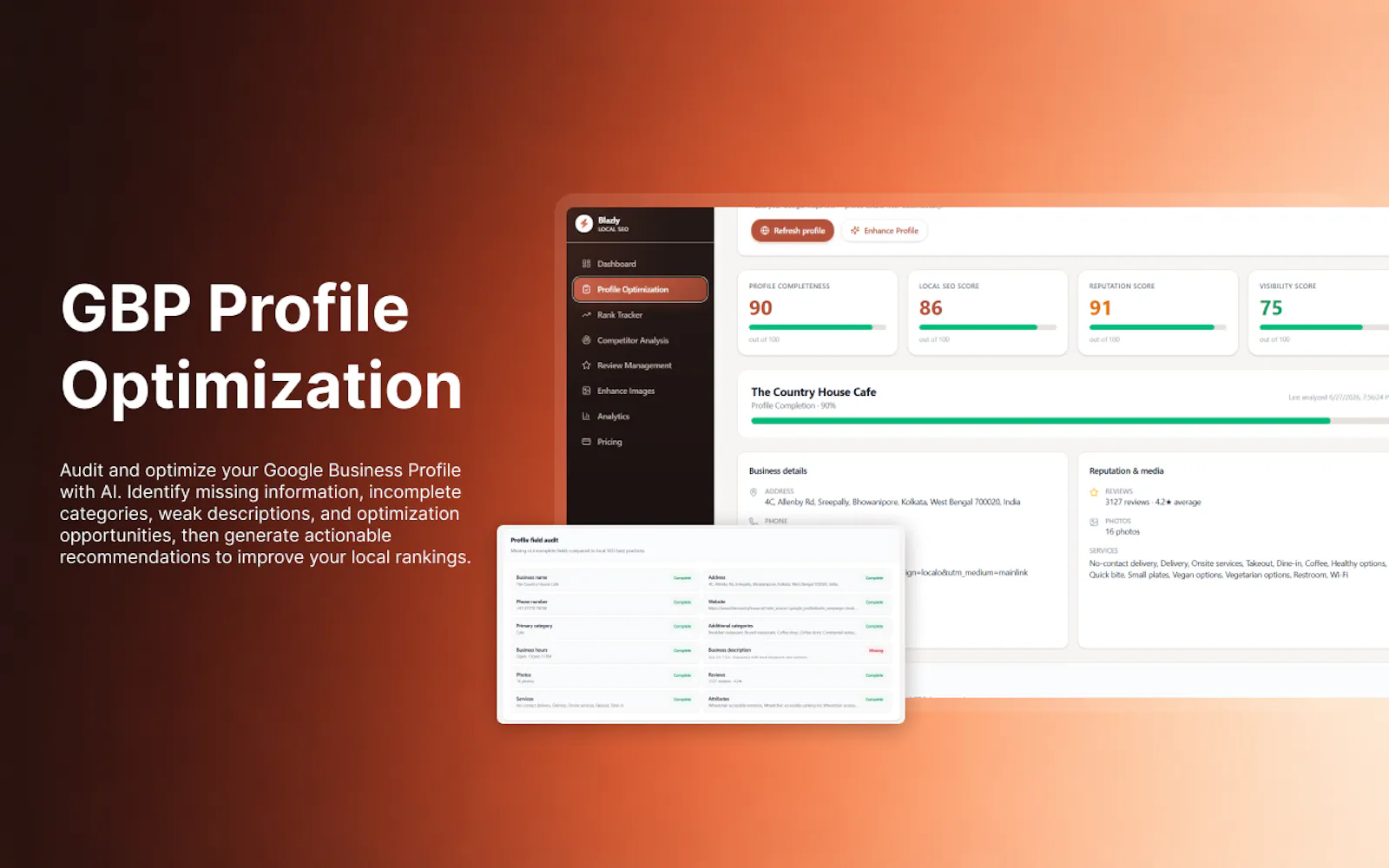 Blazly Local SEO screenshot 3