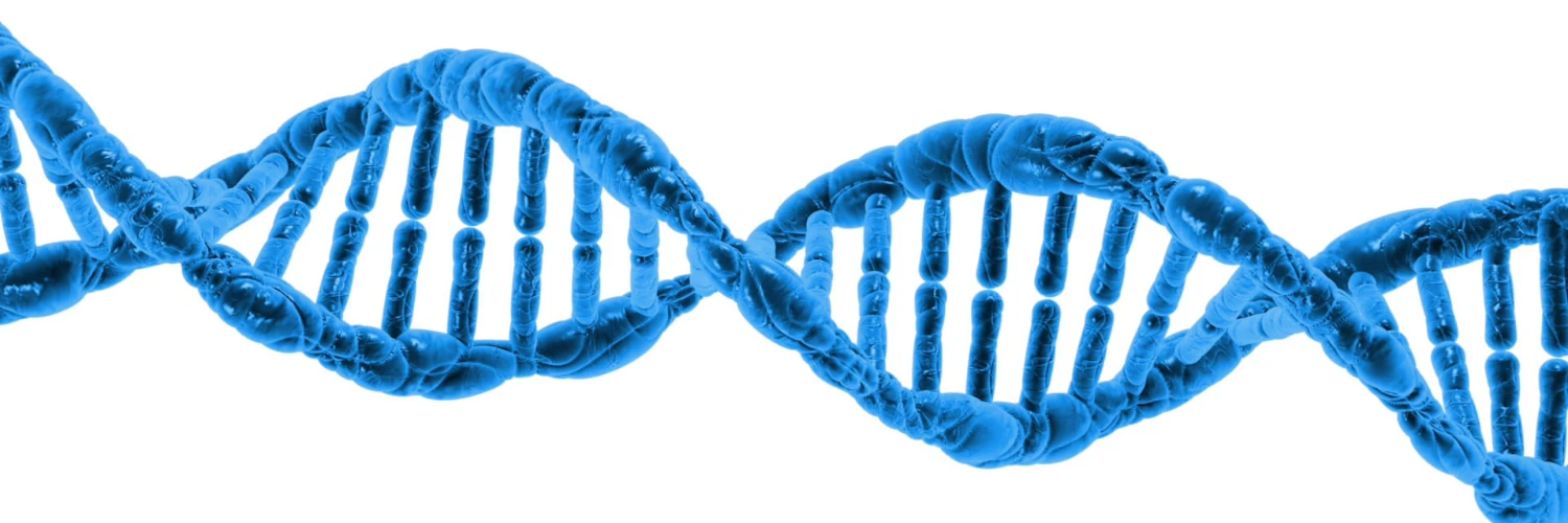 Frederico Stefano (fredsrocha) cover