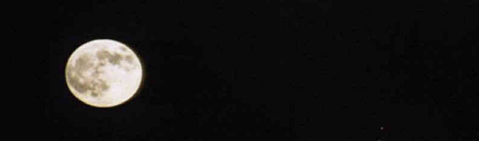 Salem's Lot gallery image