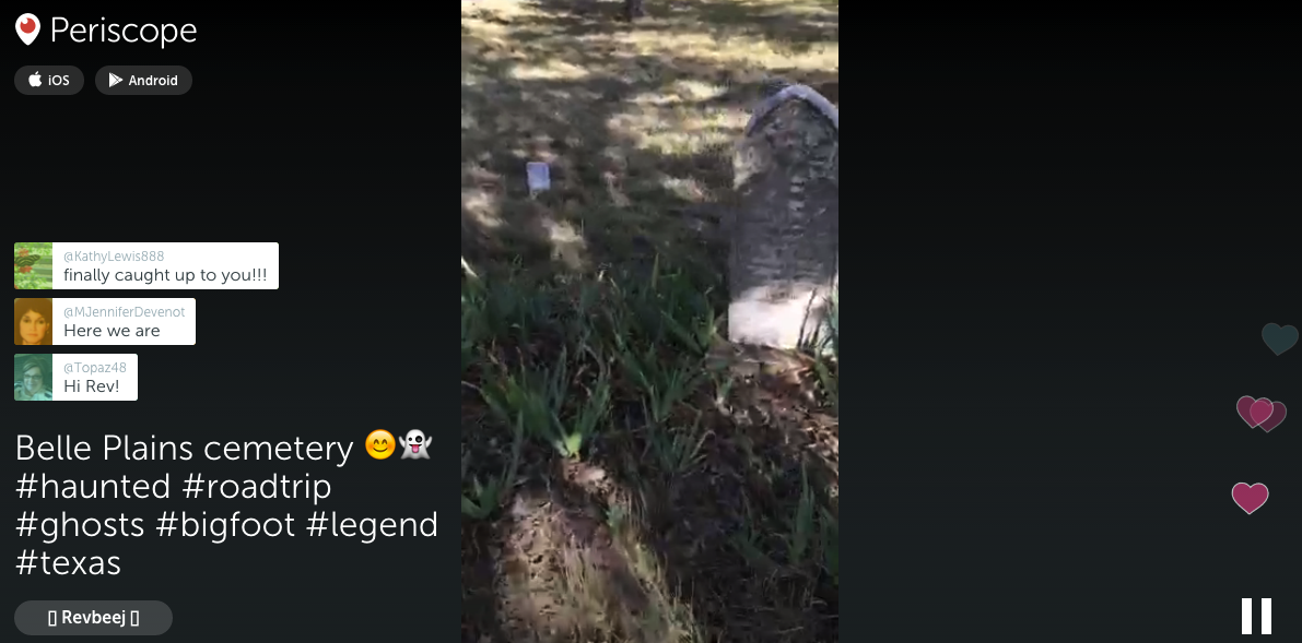 Random Peek gallery image