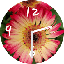 Stock Watch Face gallery image