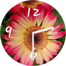 Stock Watch Face gallery image