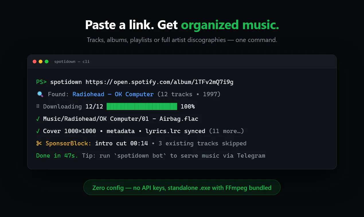SpotiDown gallery image