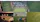 Multi Video Player