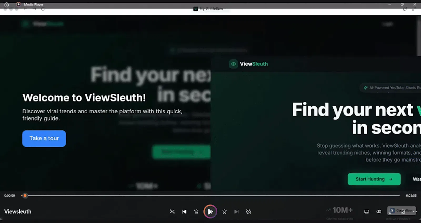ViewSleuth screenshot 1 (video preview)
