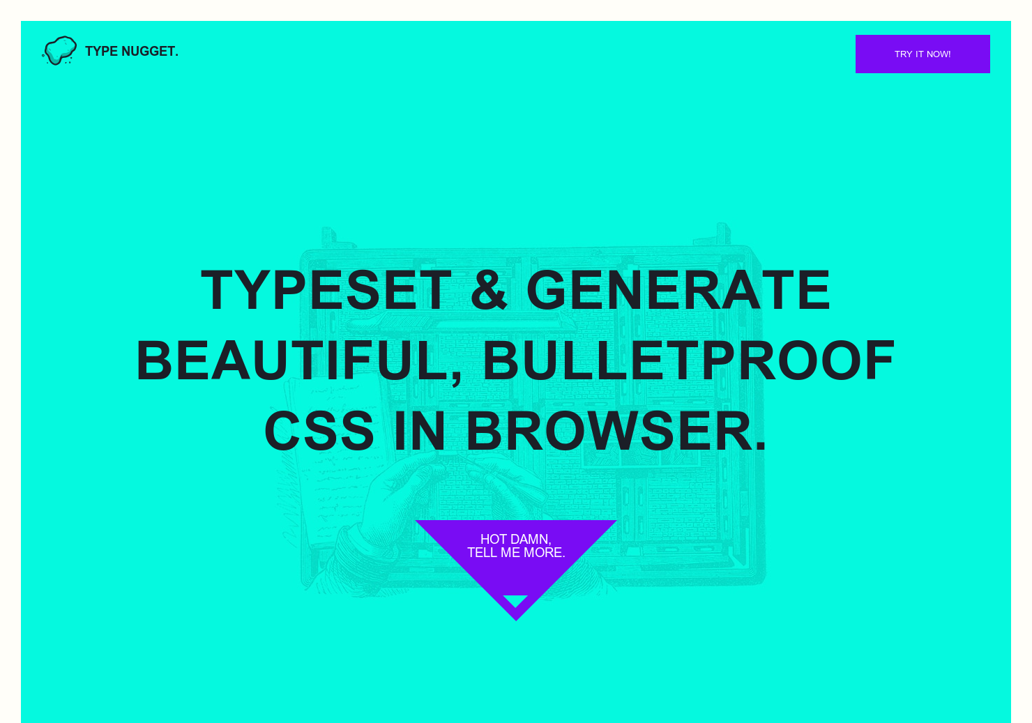 Type Nugget gallery image