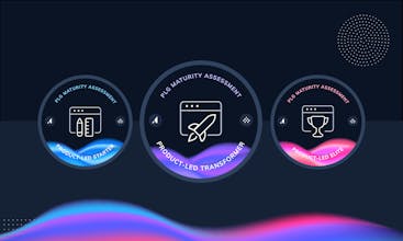 The PLG Maturity Assessment gallery image