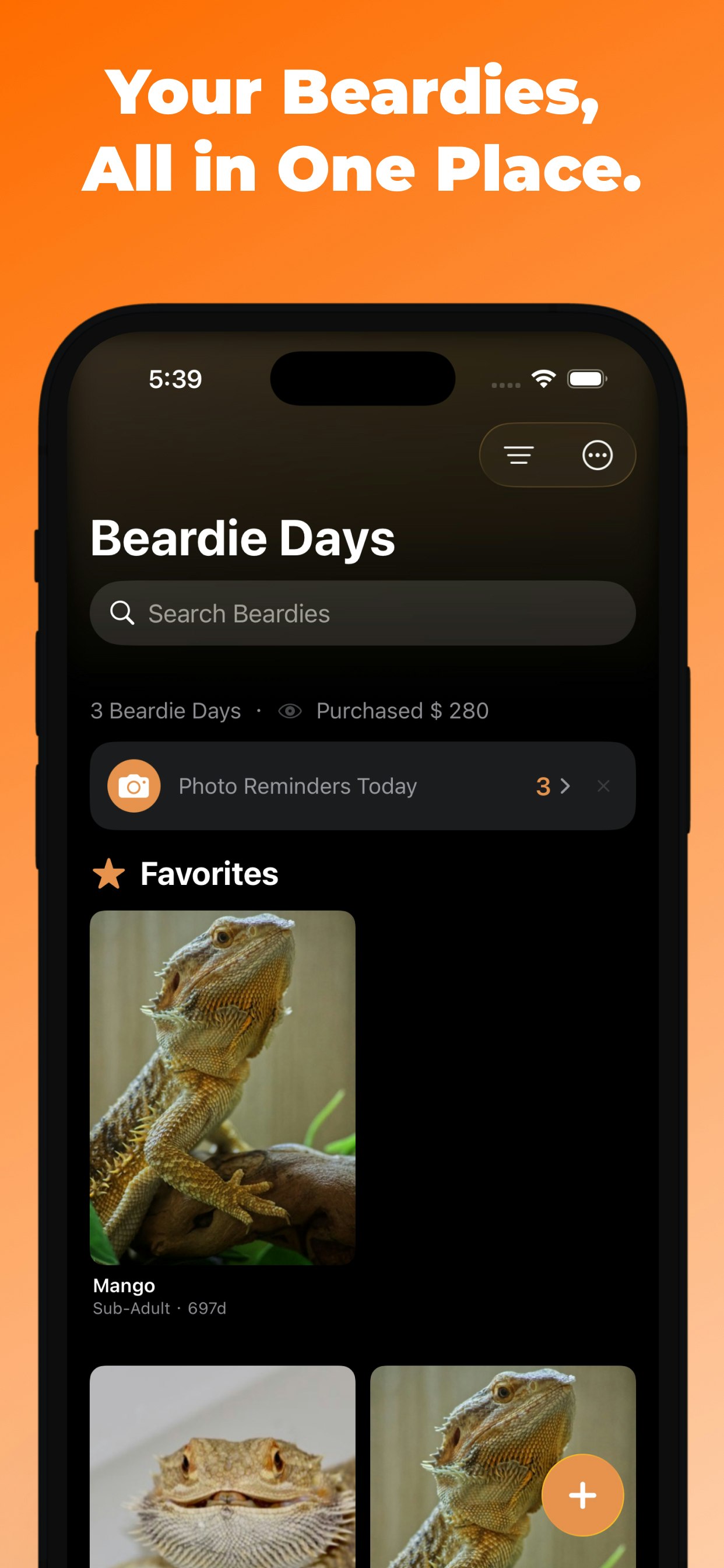 Beardie Days gallery image