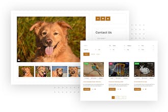 Pets and Animals Listing gallery image