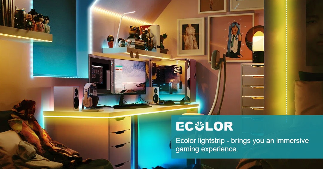 Ecolor gallery image