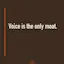 Amplified by Alive By Design