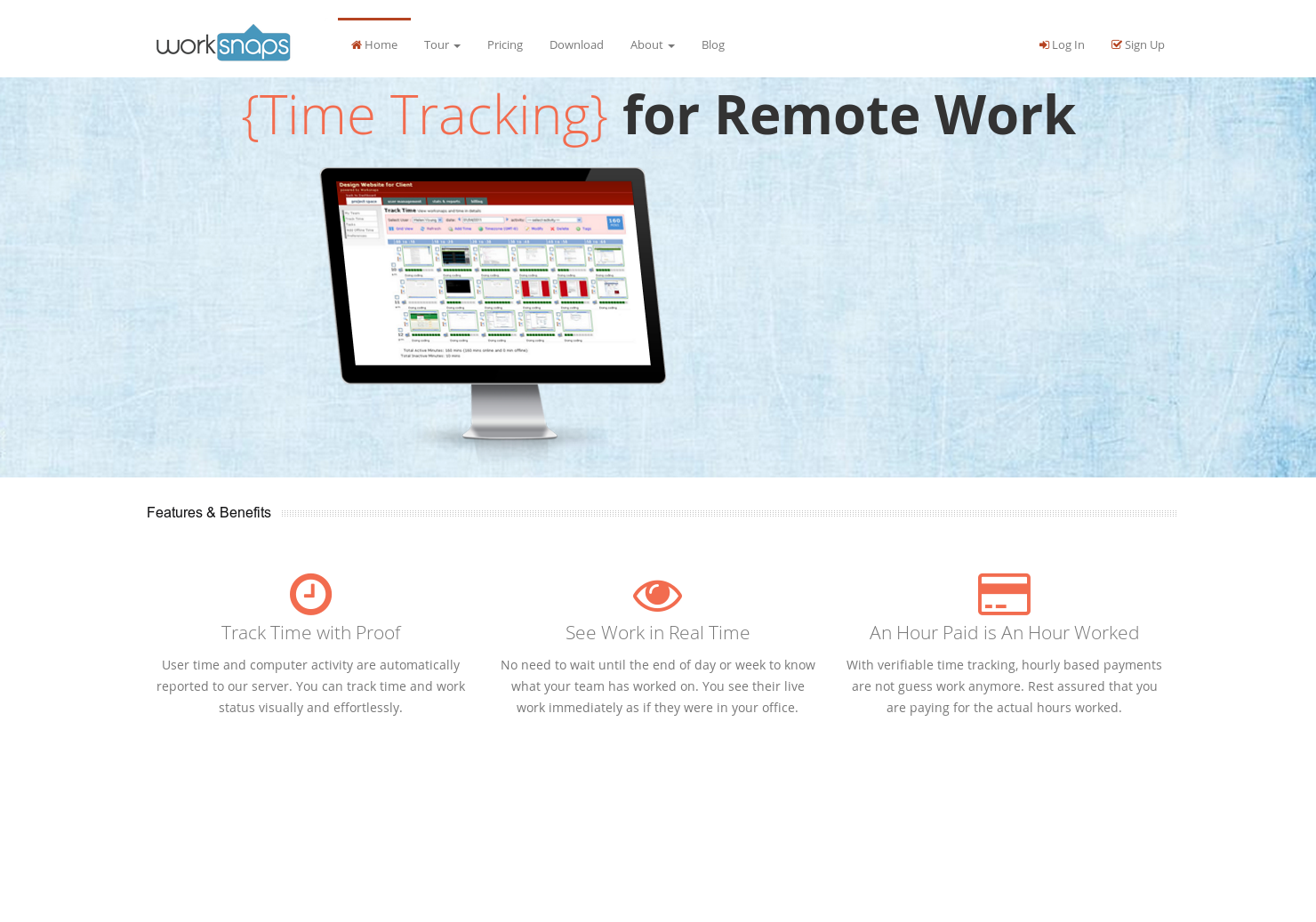 Worksnaps gallery image