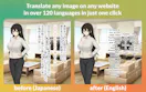 Torii Image Translator