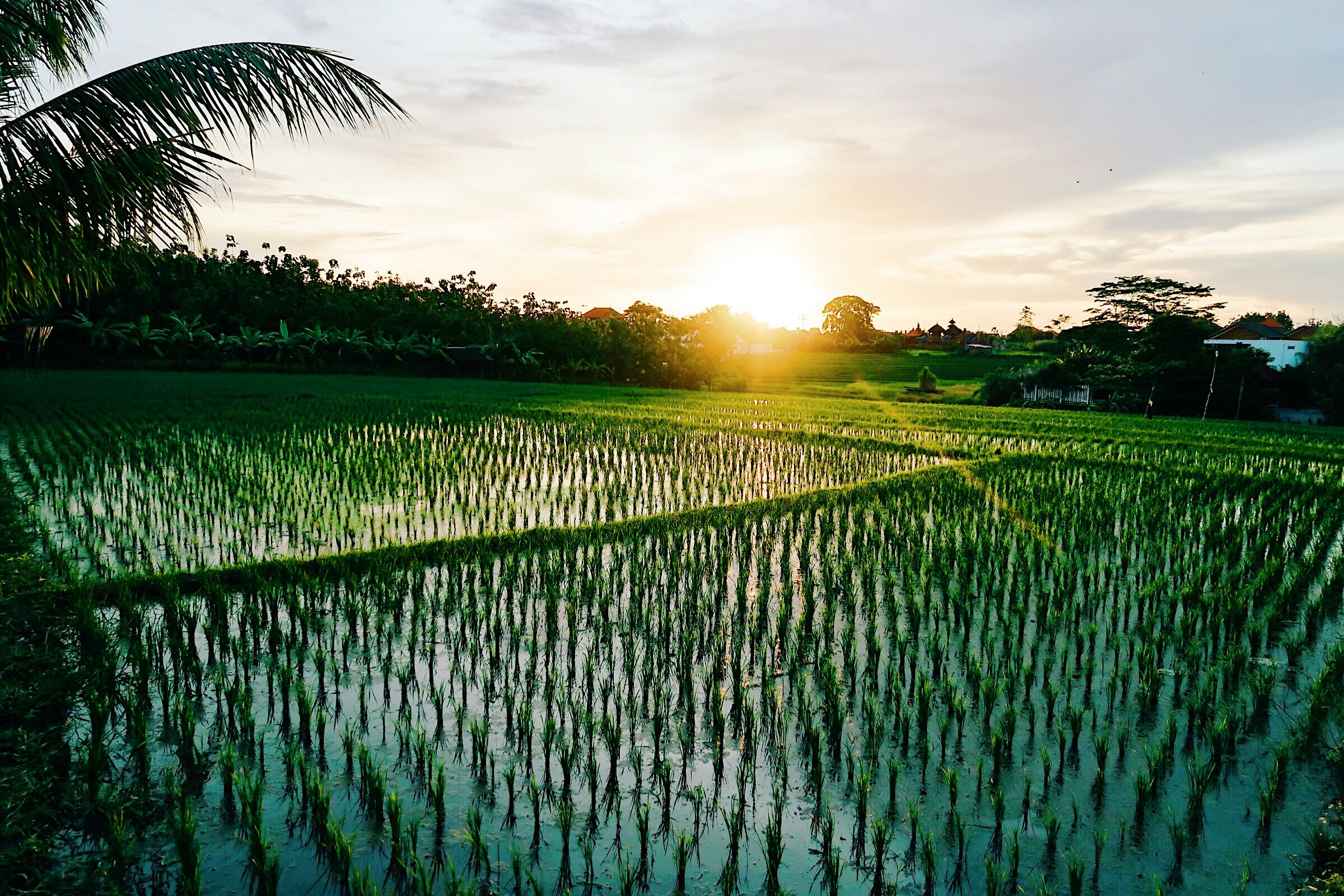 WhileinBali.com gallery image