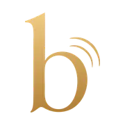 besidee product banner