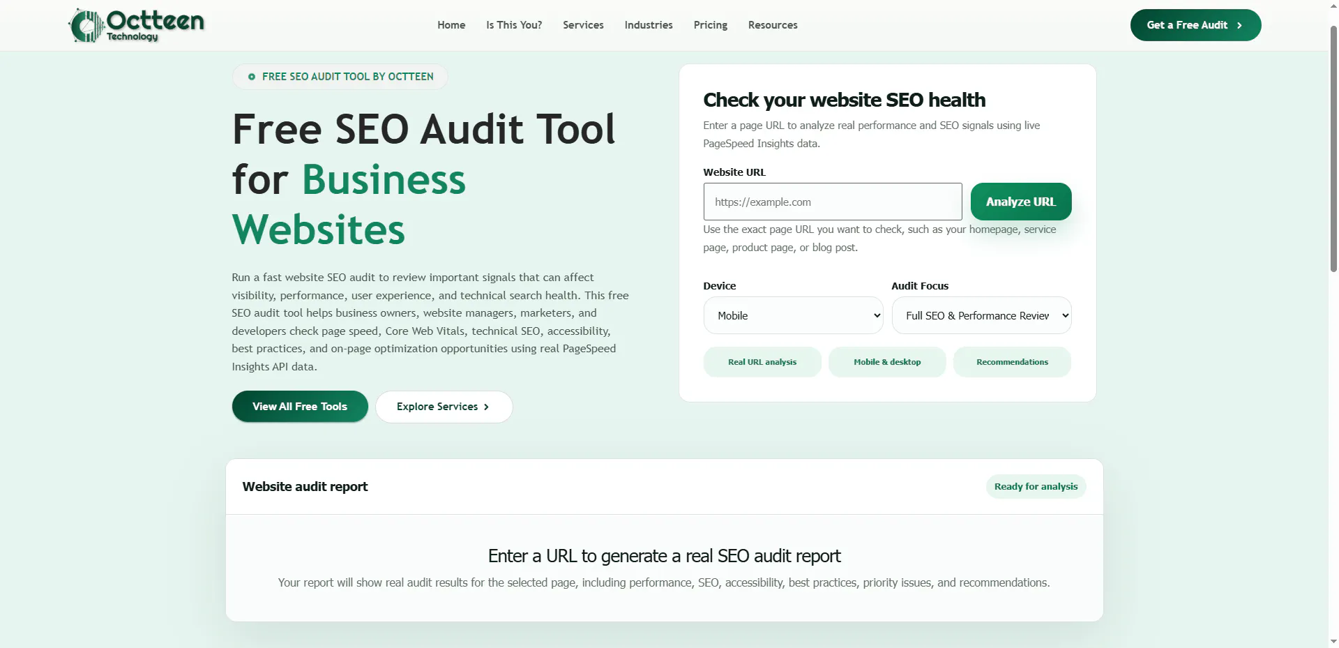 Octteen SEO Audit Tool gallery image