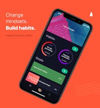 Mindful Goals gallery image