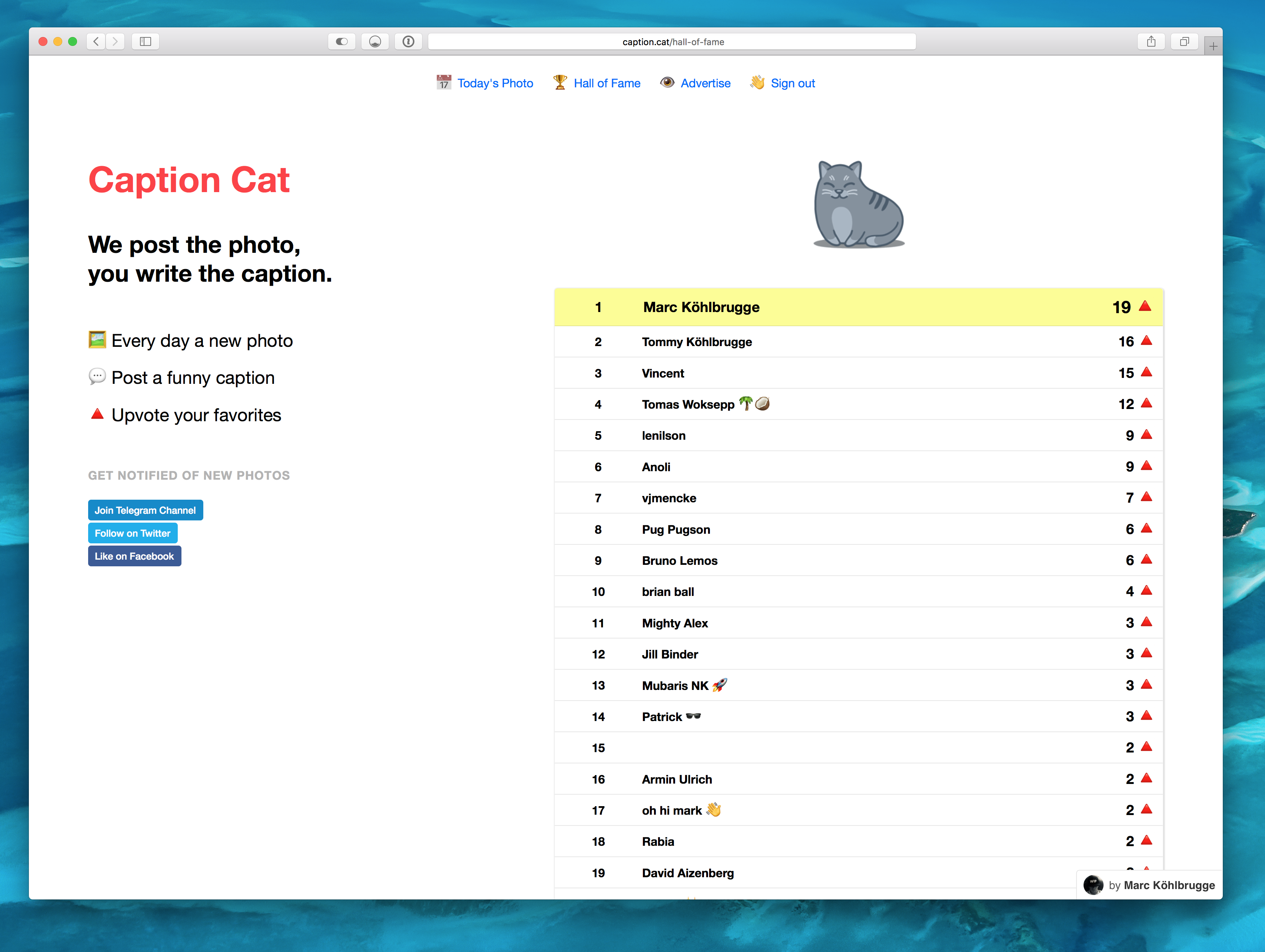 Caption Cat gallery image