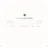 KickassTorrents