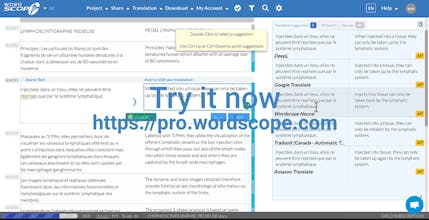 ChatGPT for Translators gallery image