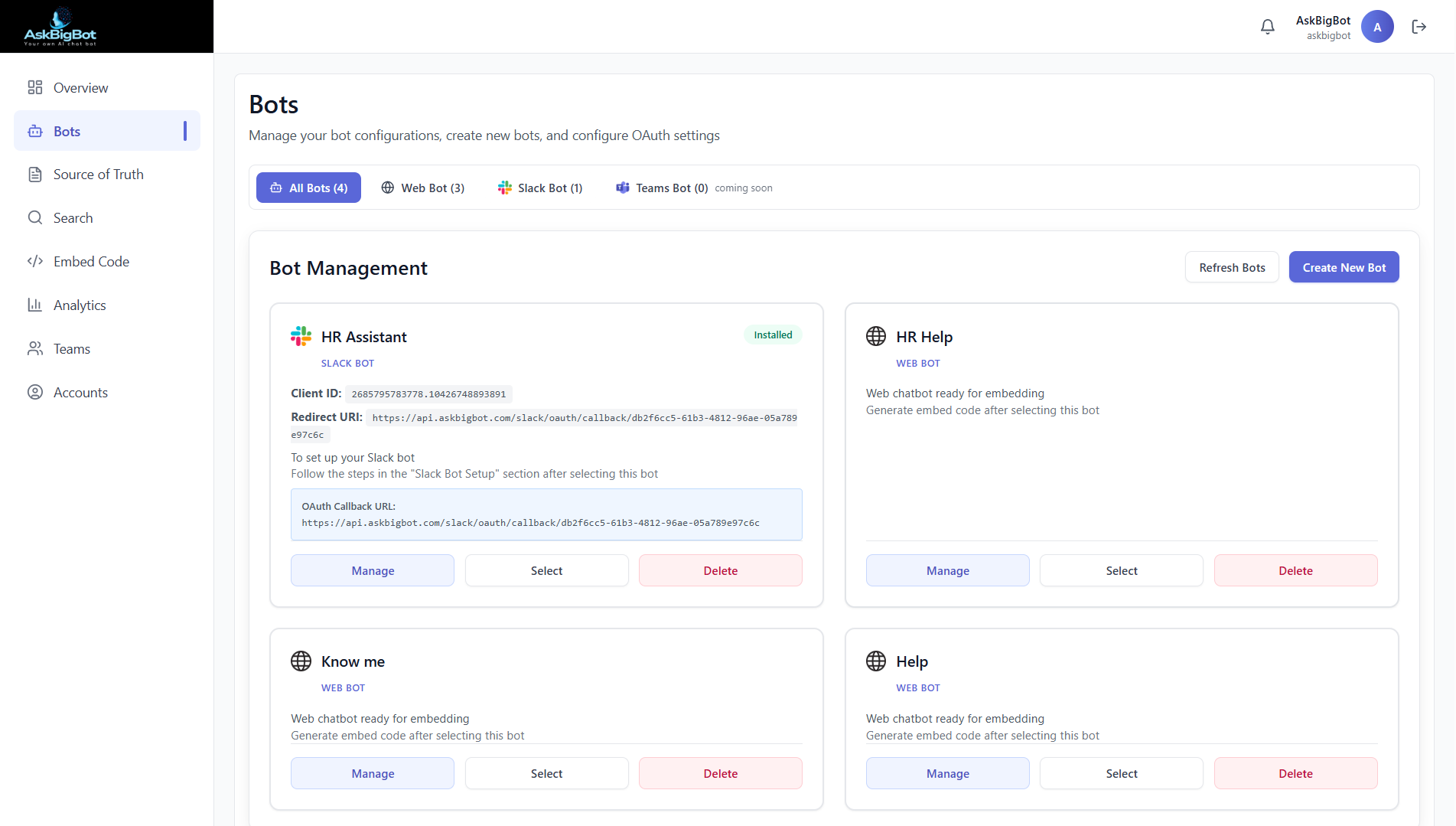 AskBigBot gallery image