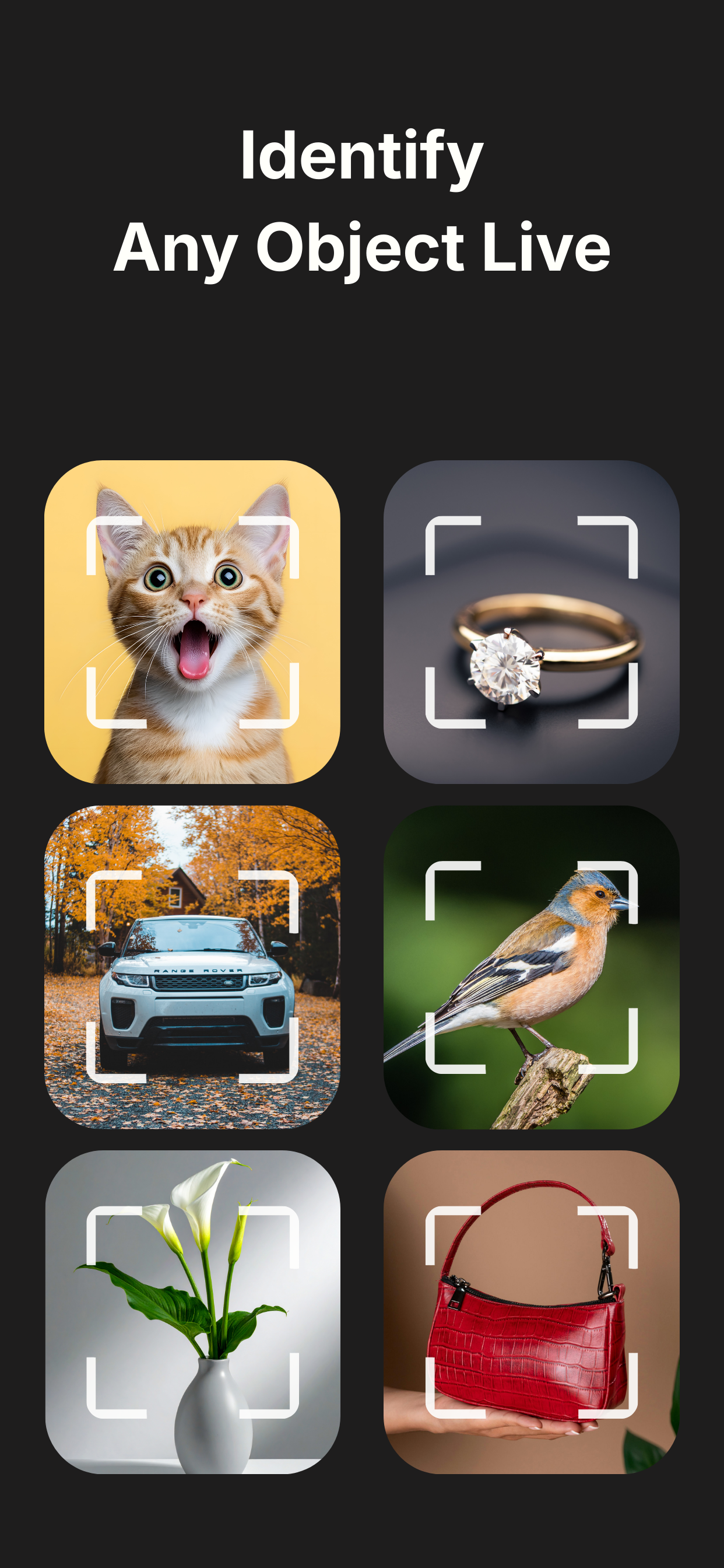 LiveScan AI - Screenshot 2 showing product features and functionality
