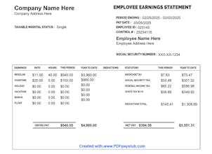 PDFPayStub.com gallery image