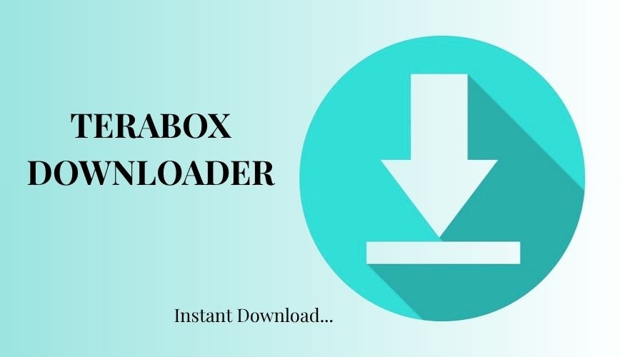 TeraboxDownloader - Main product screenshot demonstrating key features and user interface