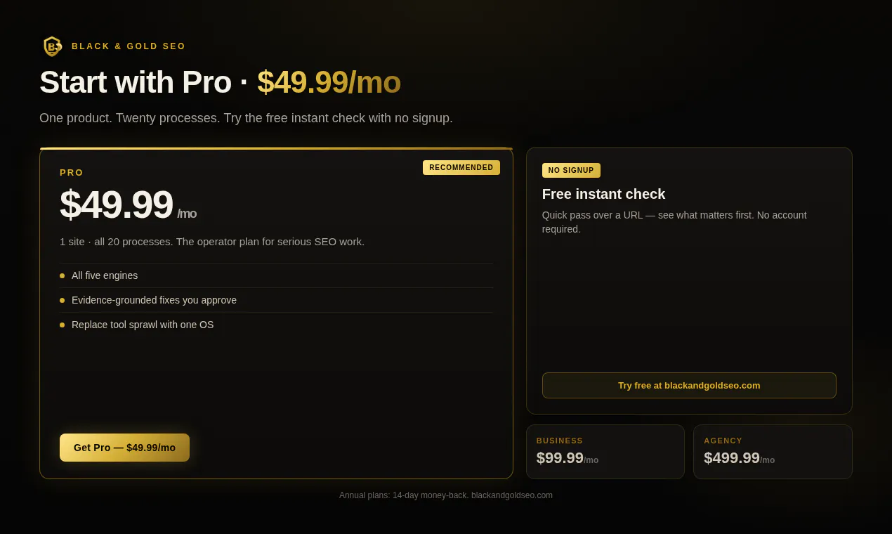 Black & Gold SEO gallery image