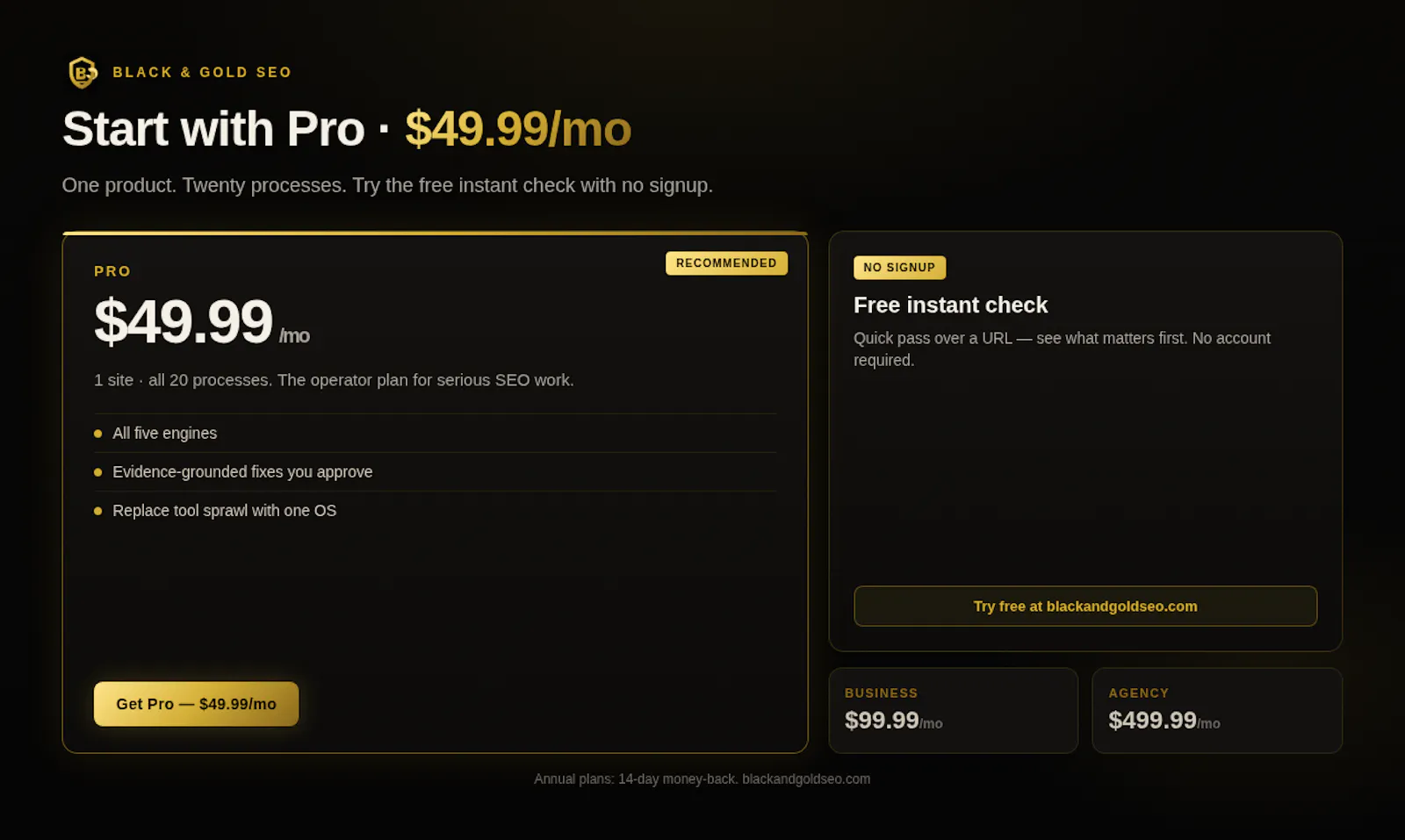 Black & Gold SEO screenshot 4