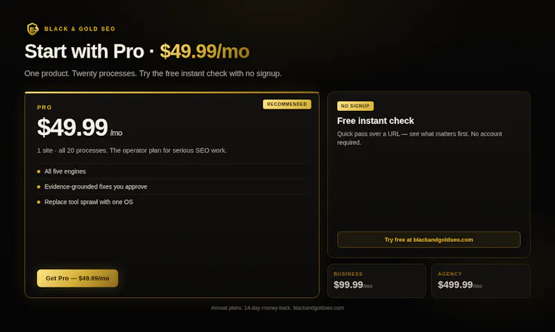Black & Gold SEO screenshot 4