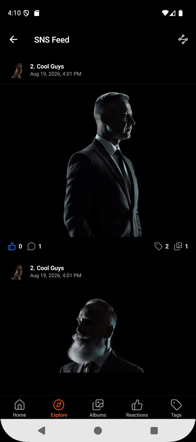 Ember Gallery screenshot 7