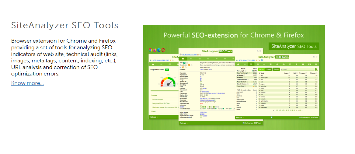 Mídia 3 de Siteanalyzer