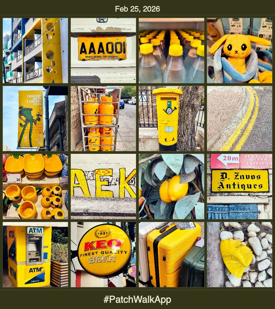 PatchWalk gallery image