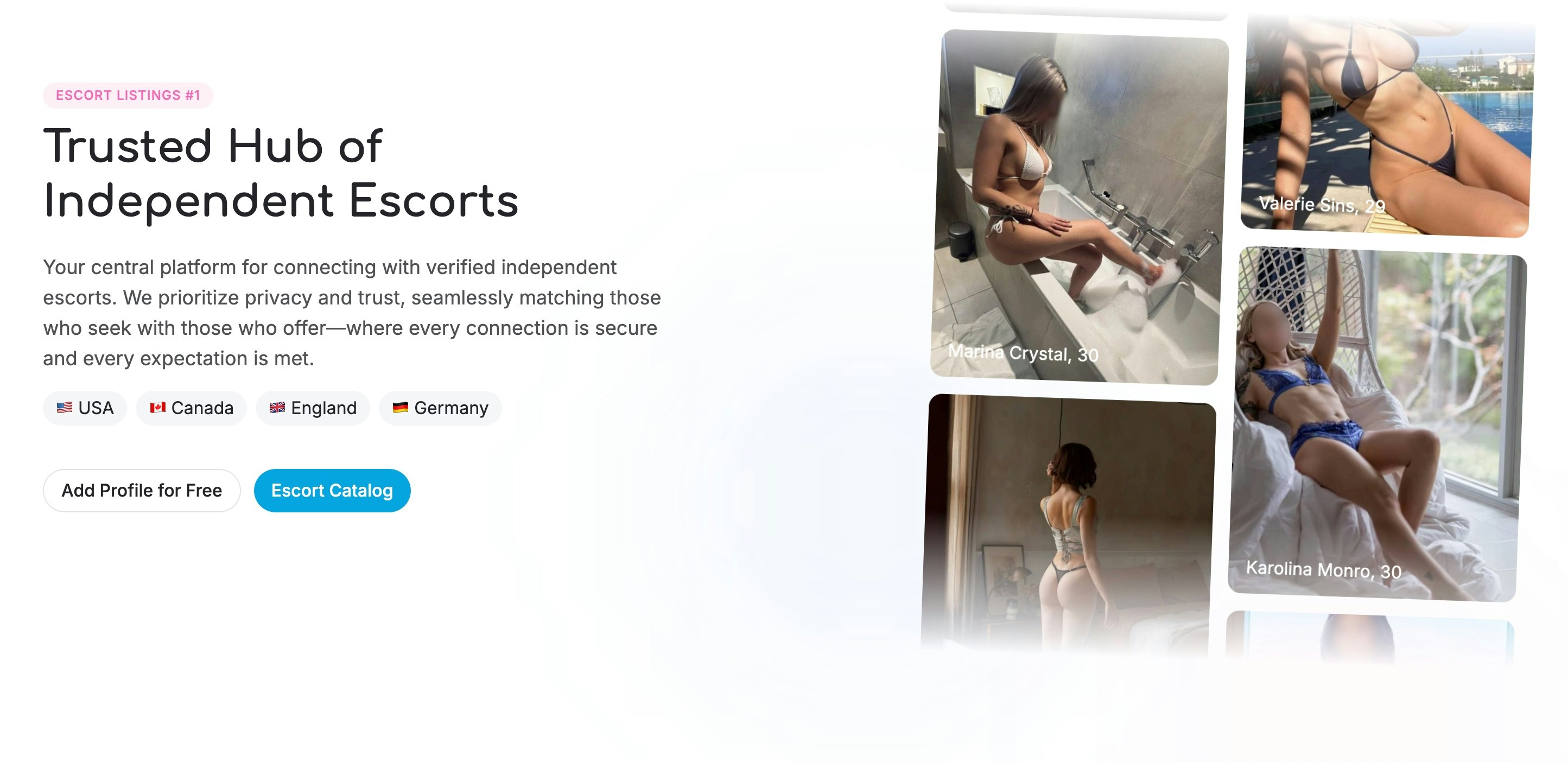 TrystHub - Screenshot 2 showing product features and functionality