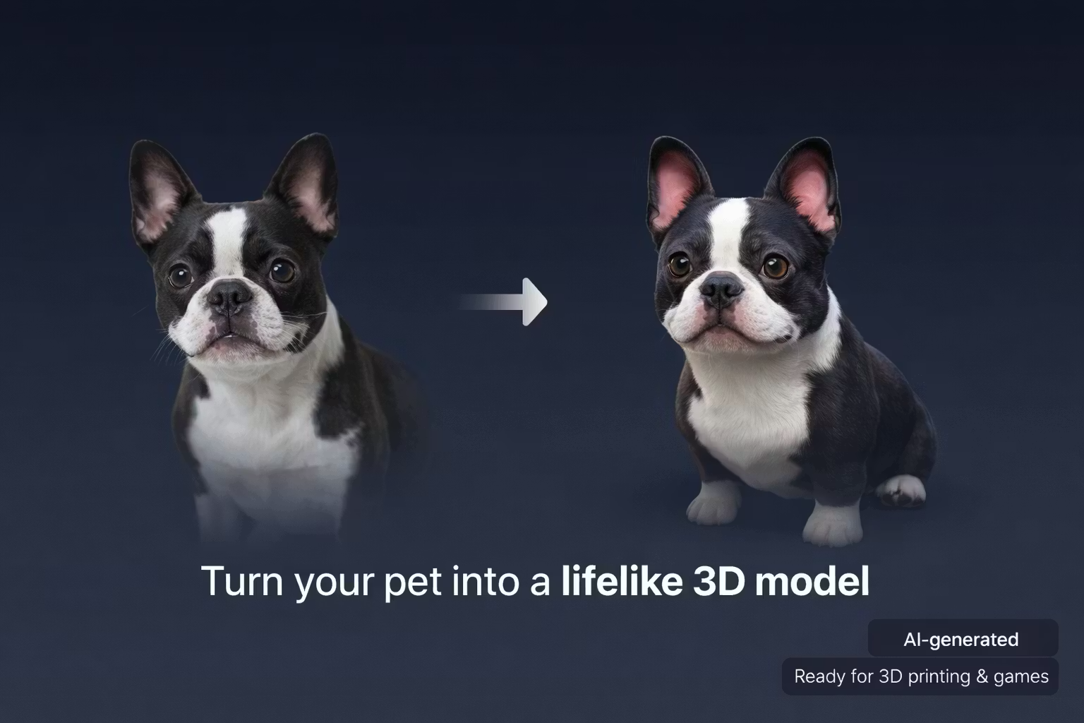 Magic 3D Pet gallery image