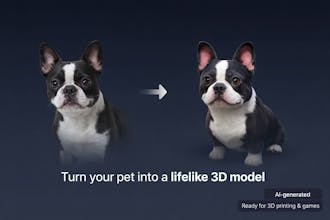 Magic 3D Pet gallery image