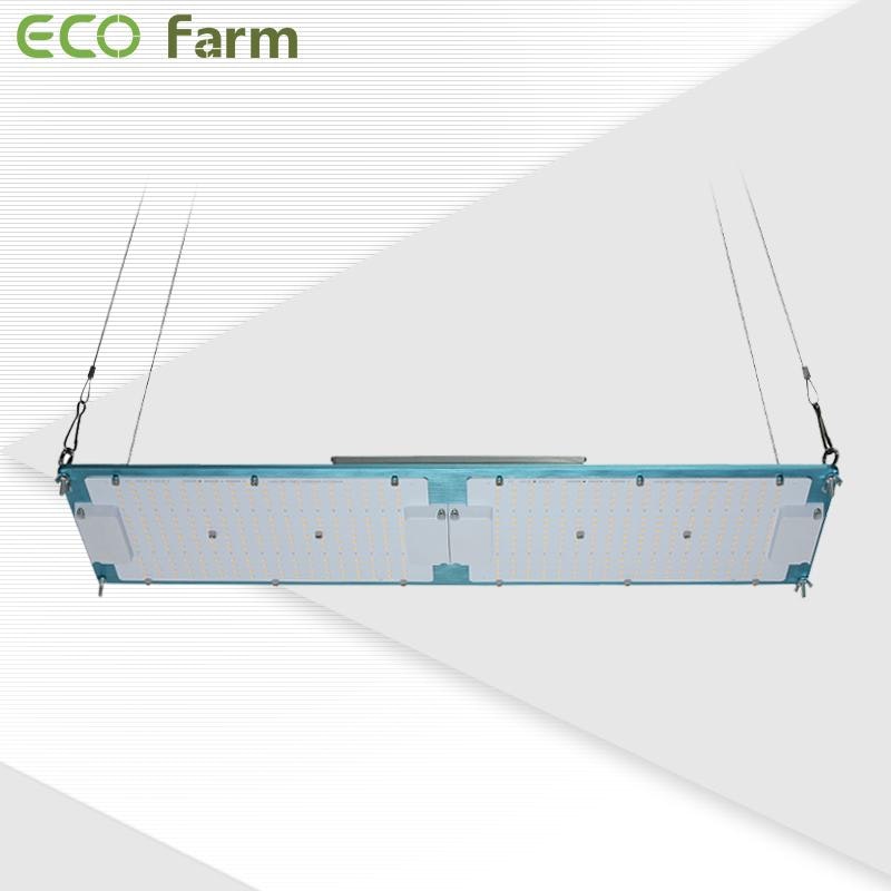 ECO Farm ECO Blue  LM301H Quantum Board