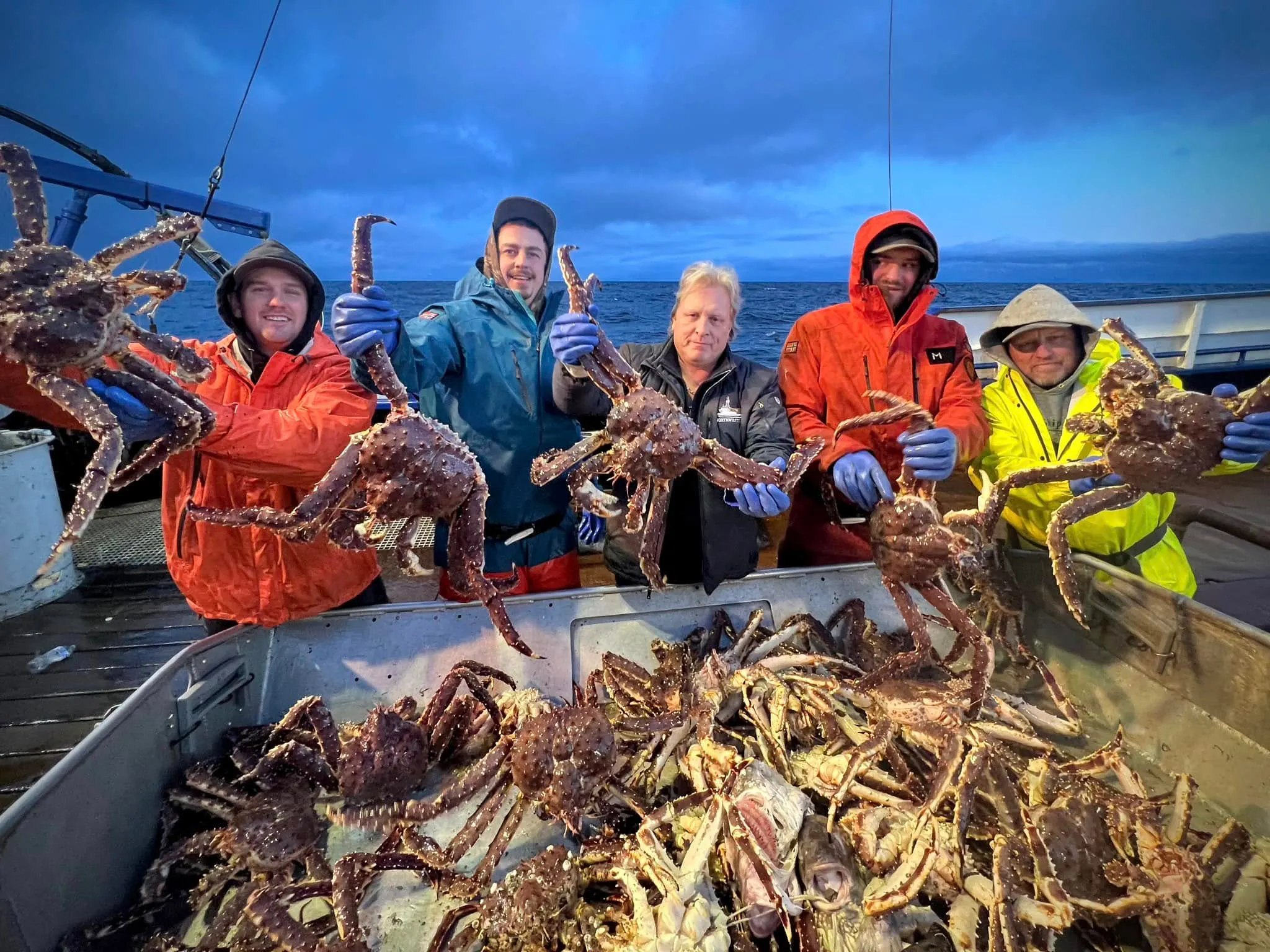 King Crab Premium Red King Crab Supplier gallery image