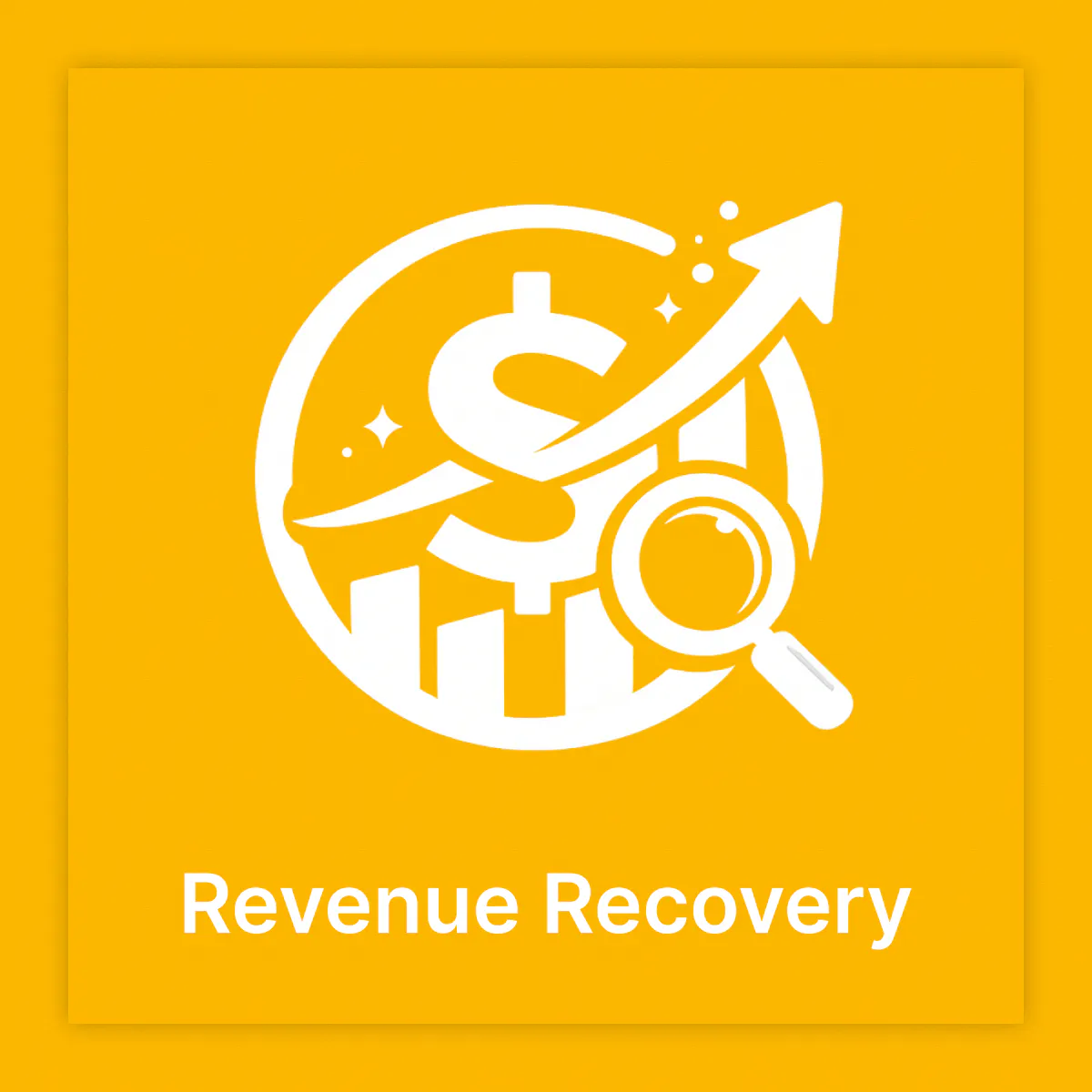 Revenue Recovery