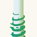 Beanstalk