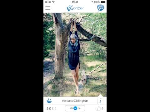 Wonder gallery image