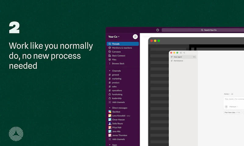 Brief screenshot 5