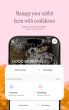 Famturf gallery image