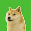 Meme sticker pack for WhatsApp