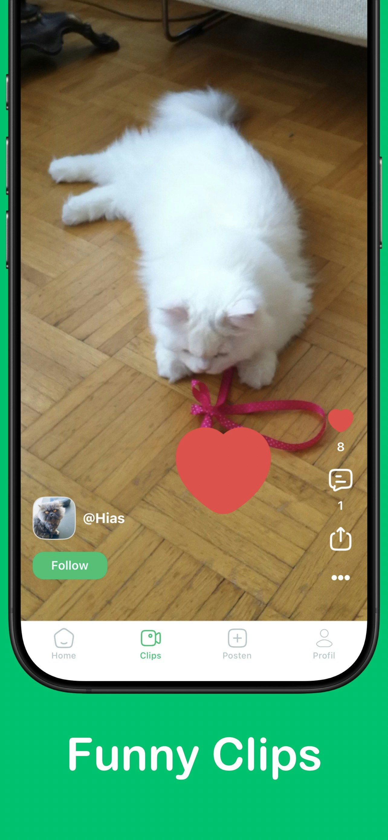 PetCam gallery image