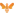 Kandji